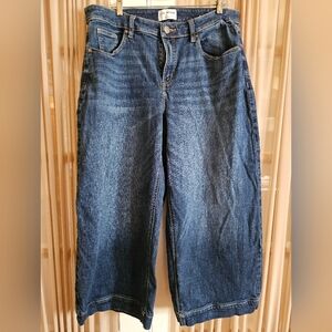 Lane Bryant Blue Flare Wide Leg Jeans with Natural Fading